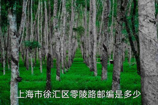 上海市徐匯區零陵路郵編是多少