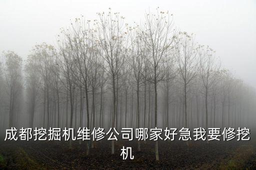 成都挖掘機(jī)維修公司哪家好急我要修挖機(jī)