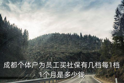成都個體戶為員工買社保有幾檔每1檔1個月是多少錢