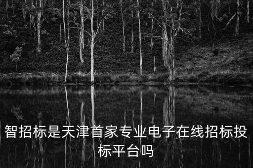 天津市政府采購(gòu)網(wǎng)評(píng)審專業(yè)，天津有專業(yè)的電子招投標(biāo)平臺(tái)嗎