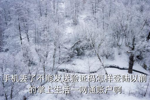 手機丟了不能發(fā)送驗證碼怎樣登陸以前的掌上生活一網(wǎng)通賬戶啊