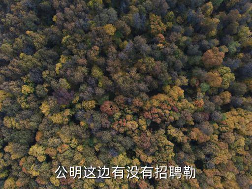 公明這邊有沒有招聘勒