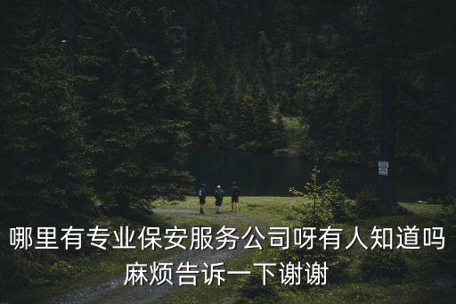 哪里有專業(yè)保安服務(wù)公司呀有人知道嗎麻煩告訴一下謝謝
