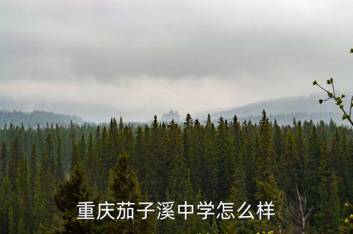 重慶茄子溪中學怎么樣