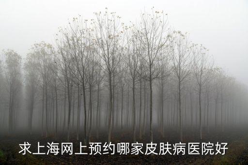 上海市皮膚病醫(yī)院網(wǎng)上掛號，求上海網(wǎng)上預約哪家皮膚病醫(yī)院好