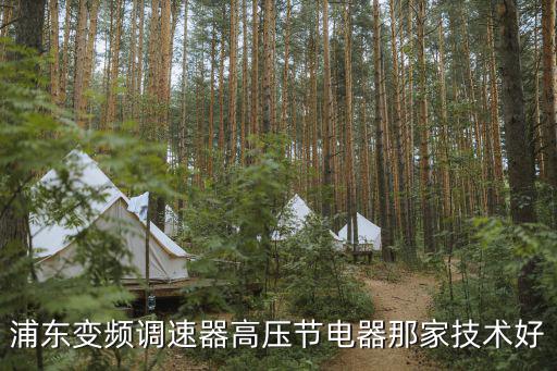 浦東變頻調速器高壓節電器那家技術好