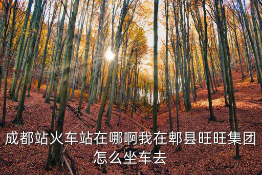 成都站火車站在哪啊我在郫縣旺旺集團(tuán)怎么坐車去