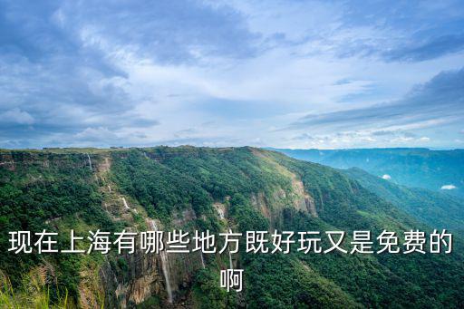 現在上海有哪些地方既好玩又是免費的啊