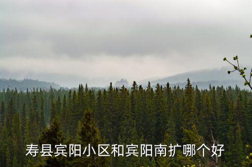 壽縣賓陽小區和賓陽南擴哪個好