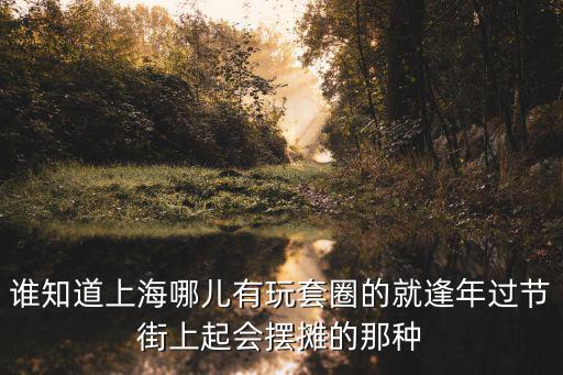 誰知道上海哪兒有玩套圈的就逢年過節(jié)街上起會擺攤的那種