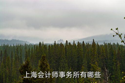 上海會(huì)計(jì)師事務(wù)所有哪些