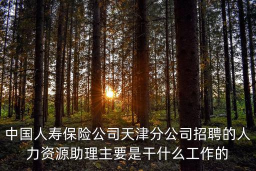 中國人壽保險公司天津分公司招聘的人力資源助理主要是干什么工作的