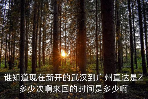 武漢朋友幾時能回廣州上班，誰知道現在新開的武漢到廣州直達是Z多少次啊來回的時間是多少啊