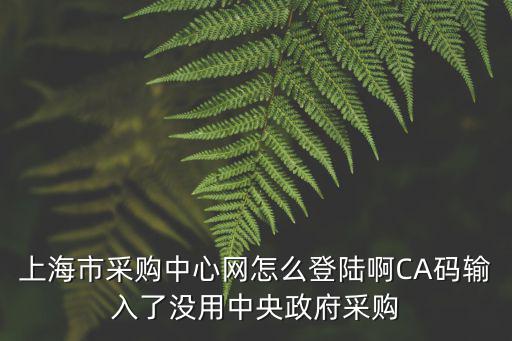 上海政府采購與招標網(wǎng)，上海市采購中心網(wǎng)怎么登陸啊CA碼輸入了沒用中央政府采購