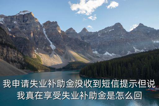 我申請(qǐng)失業(yè)補(bǔ)助金沒(méi)收到短信提示但說(shuō)我真在享受失業(yè)補(bǔ)助金是怎么回