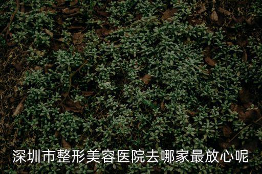 深圳市整形美容醫(yī)院去哪家最放心呢