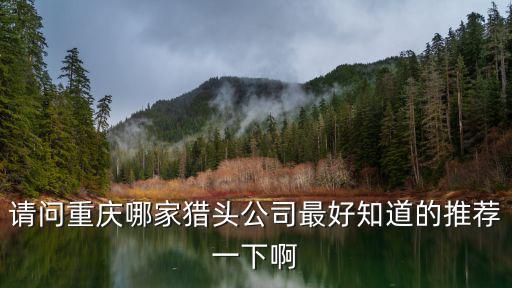 請問重慶哪家獵頭公司最好知道的推薦一下啊