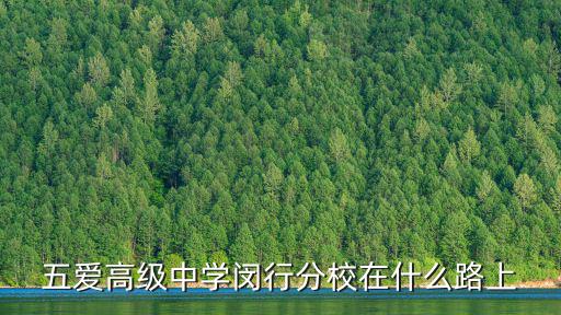 五愛高級(jí)中學(xué)閔行分校在什么路上