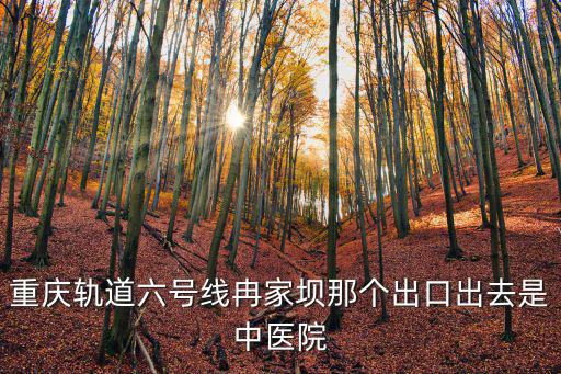 重慶市中醫院與冉家壩站距離，重慶中醫院離哪個火車站近