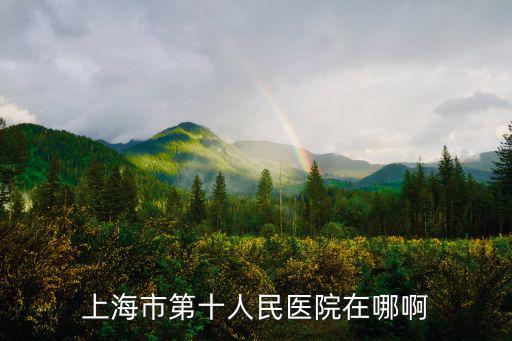 上海市第十人民醫(yī)院學科群，上海市第十人民醫(yī)院在哪啊