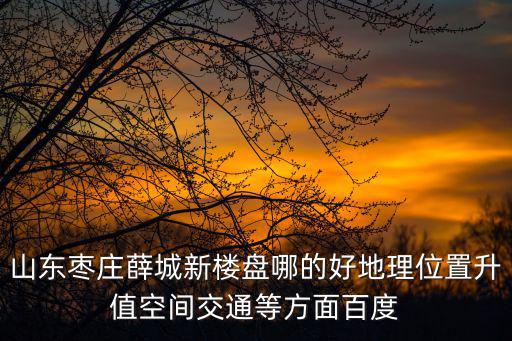 山東棗莊薛城新樓盤哪的好地理位置升值空間交通等方面百度