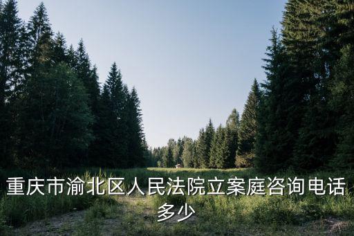 重慶市渝北區人民法院立案庭咨詢電話多少
