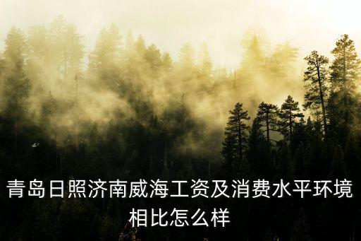 青島日照濟(jì)南威海工資及消費(fèi)水平環(huán)境相比怎么樣