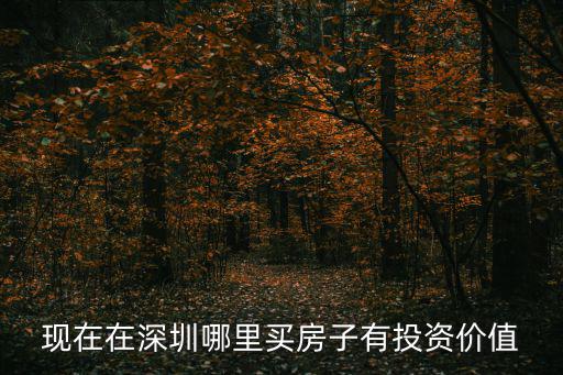 現在在深圳哪里買房子有投資價值