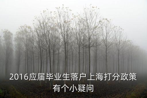 2016應屆畢業(yè)生落戶上海打分政策有個小疑問