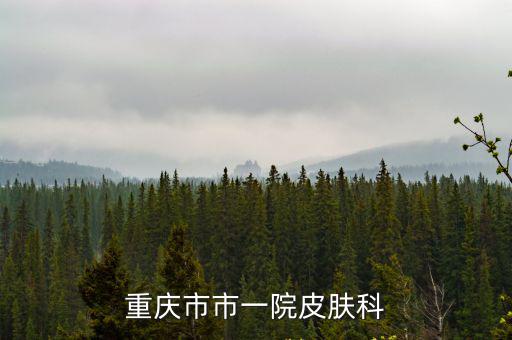 重慶市市一院皮膚科