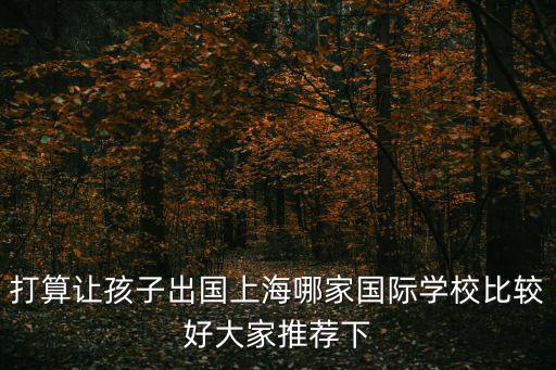打算讓孩子出國上海哪家國際學(xué)校比較好大家推薦下