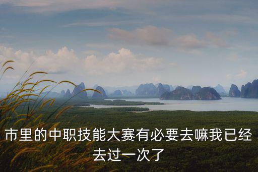 市里的中職技能大賽有必要去嘛我已經去過一次了