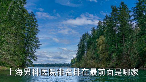 上海男科醫院排名第一，上海男科醫院排名哪家醫院最好