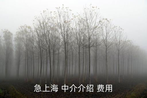 急上海 中介介紹 費用