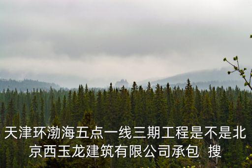 天津環渤海五點一線三期工程是不是北京西玉龍建筑有限公司承包  搜