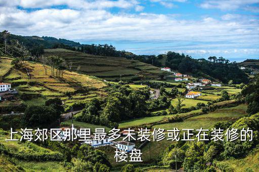 上海郊區那里最多未裝修或正在裝修的樓盤