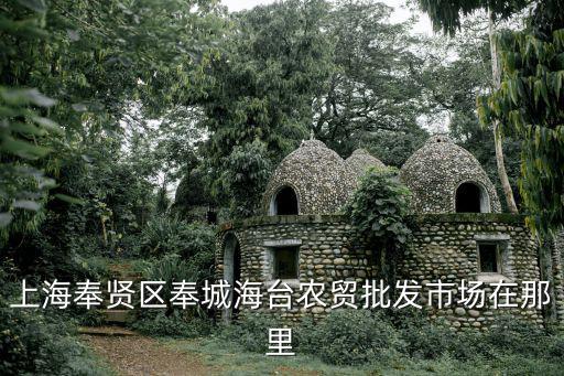 上海奉賢區(qū)奉城海臺(tái)農(nóng)貿(mào)批發(fā)市場(chǎng)在那里