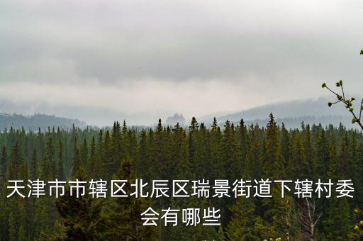天津市市轄區北辰區瑞景街道下轄村委會有哪些