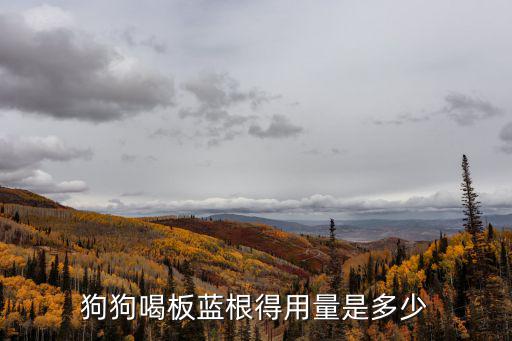 大狗喝板藍根喝多少，狗狗喝板藍根得用量是多少