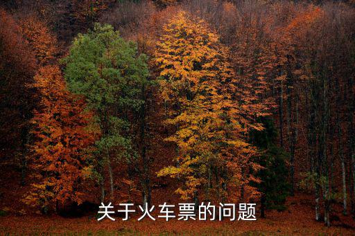 關于火車票的問題