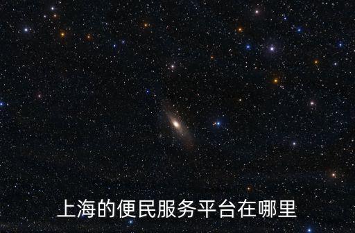 上海的便民服務(wù)平臺(tái)在哪里