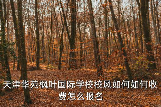 天津華苑楓葉國際學校校風如何如何收費怎么報名