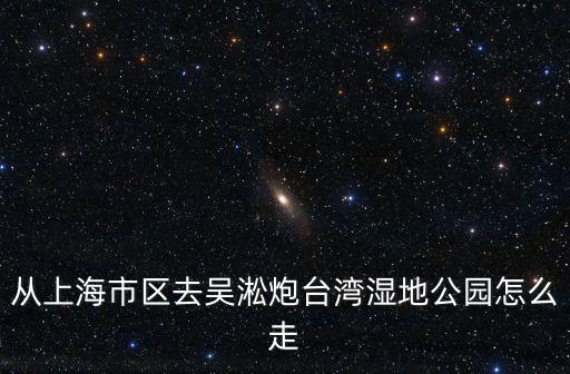 上海市區(qū)去吳淞口炮臺，從華夏東路去吳淞炮臺公園的路線想坐地鐵去