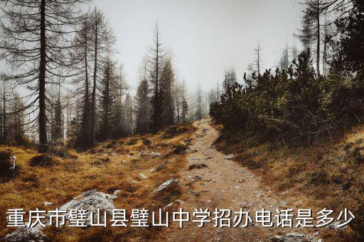 重慶市璧山中學(xué)校分班，璧山中學(xué)有幾個班