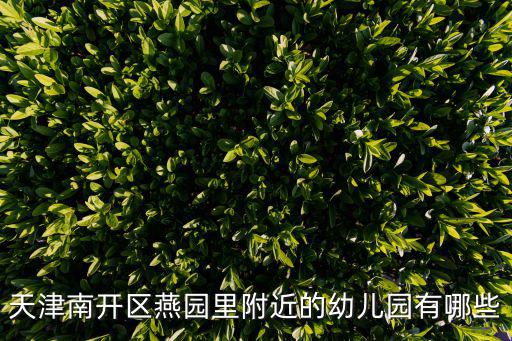 天津市南開區日語幼兒園，天津幼兒園排名