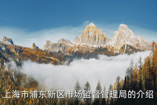 上海市浦東新區(qū)市場監(jiān)督管理局的介紹