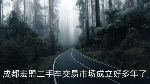 成都宏盟二手車交易市場成立好多年了