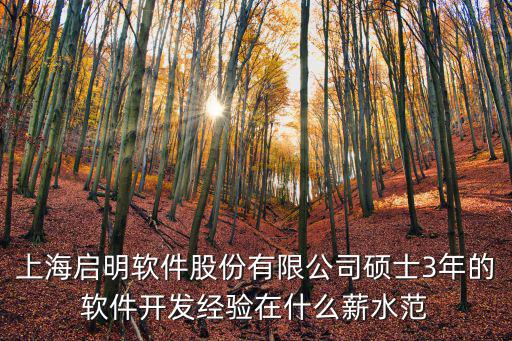 上海啟明軟件股份有限公司碩士3年的軟件開發(fā)經(jīng)驗(yàn)在什么薪水范