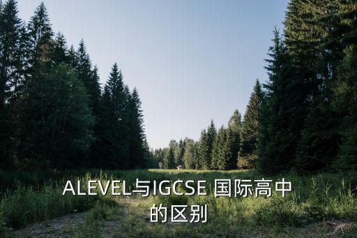 ALEVEL與IGCSE 國際高中的區(qū)別