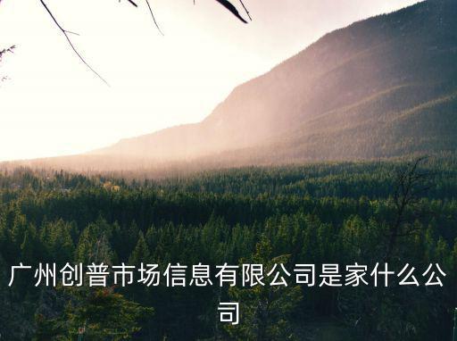 廣州創普市場信息有限公司是家什么公司